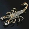 scorpion king's profile picture