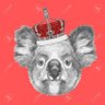 🐨KoalaBearKhan🐨 的头像