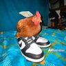 caileyisnthere's profile picture