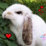 вже пізнана udав's profile picture