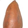 Garbage Human's profile picture