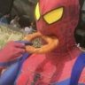 Profilbild von Dunce Bagels