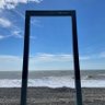 海天一色 的头像