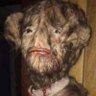 Anthony Pham's profile picture