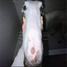 Фото профиля Juan Anonimo