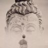 Z纸钞 profil fotoğrafı