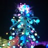 yuko_f's profile picture