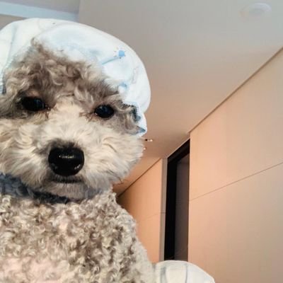 ur_mysshine's profile picture