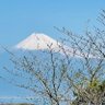 Фото профиля Nipponia015🇯🇵🇺🇸