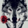 Lucky shad's profile picture