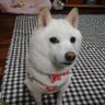 ヒロ_B'z's profile picture