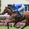 Jockey Ser profil fotoğrafı