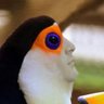 WaterMan profil fotoğrafı