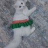 حوراء يوسف profil fotoğrafı