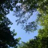空の下で遊びたい profil fotoğrafı