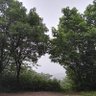Фото профиля 推油☯大师