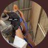 R🐎's profile picture