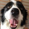 るー's profile picture