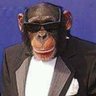 Profilbild von macaco