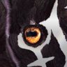 どんみら@game用 profil fotoğrafı
