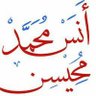 أنس محمد محيسن 的头像