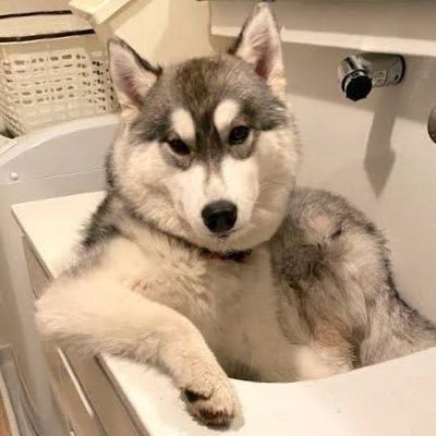 shelly4821's profile picture