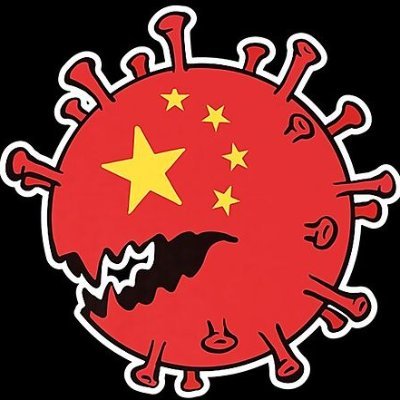 xibaozi36064237's profile picture