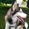 Johnatan's profile picture