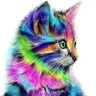 Profilbild von Miss Kittykat😽catcrimes😼