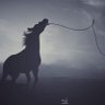 شداد عبدالله 的头像