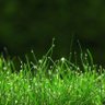 Go Touch Grass 💫💥 的头像