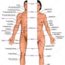 Фото профиля Spooner
