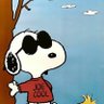 Profilbild von Sebastian