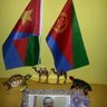 ሕብንቲ ኤርትራዊት profil fotoğrafı