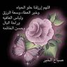 ZAHRA.SABANE's profile picture