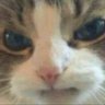 eepy profil fotoğrafı