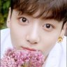 🐰KOOK🐰JJST🌟's profile picture