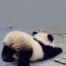 隐 profil fotoğrafı