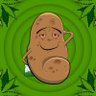 Karl Hatt | FlaccidPotato profil fotoğrafı