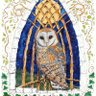 Merlin'sOwl🏴 的头像