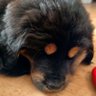 ecryto 的头像