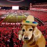 dawgsdawgsdawgs profil fotoğrafı
