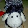 Profilbild von Scha(r)fblick