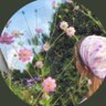 dr. Salehah AL khalaf's profile picture