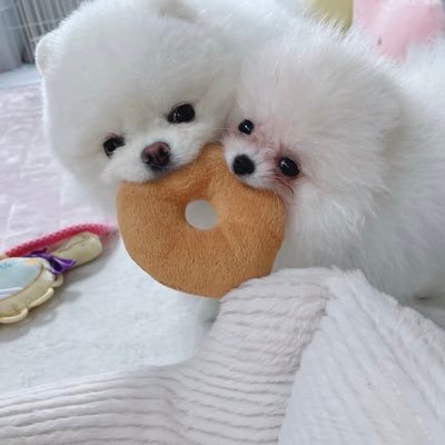 lulu_lu_0607's profile picture