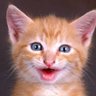 Profilbild von Dags