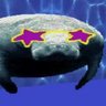 cool manatee 的头像