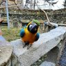 Profilbild von Drachenspatz