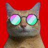 GP's profile picture