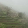 ABU ALGALA 的头像